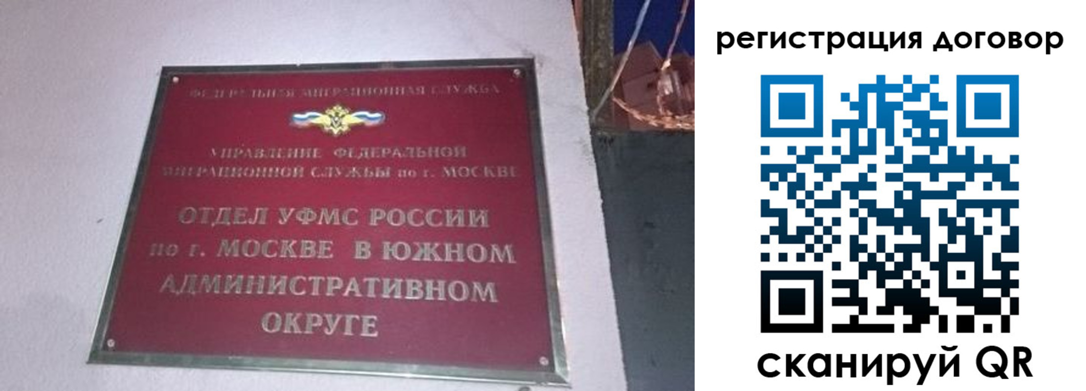 прописка для работы в Димитровграде