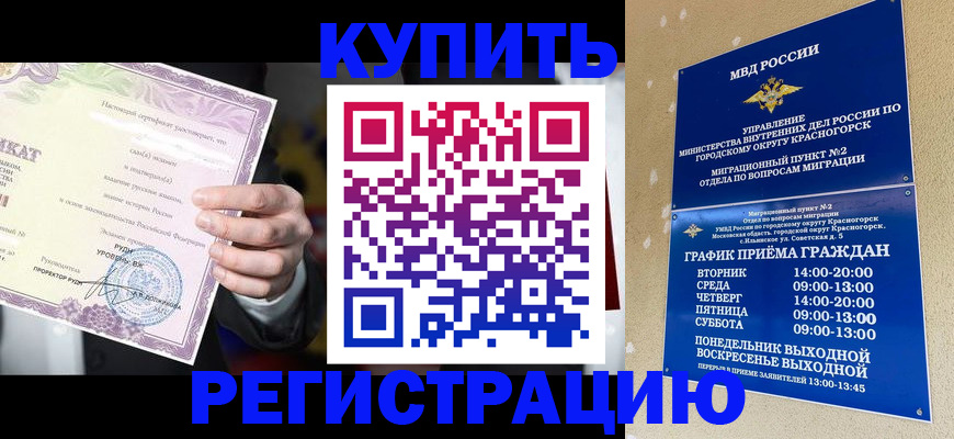 временная регистрация собственник в Димитровграде